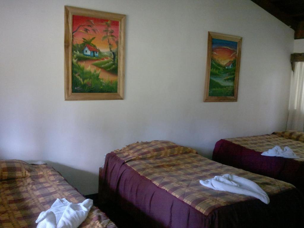 Hostel Villa Verde Monteverde Buitenkant foto