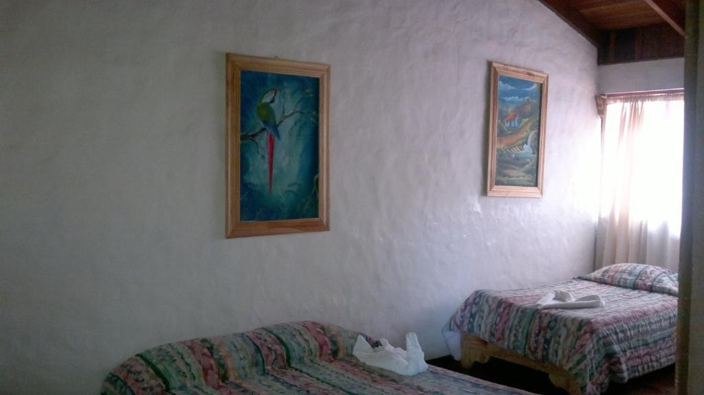 Hostel Villa Verde Monteverde Buitenkant foto