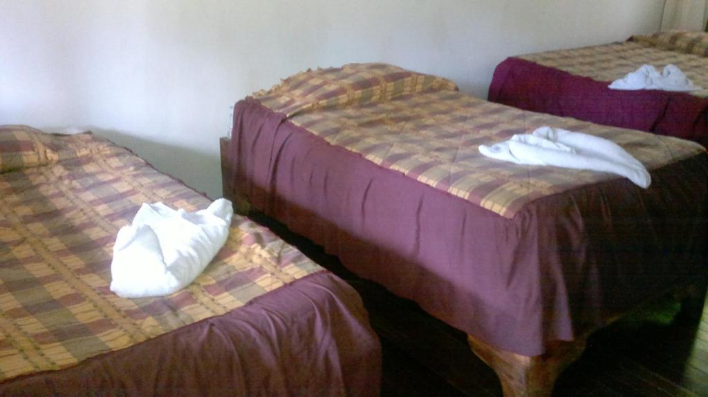 Hostel Villa Verde Monteverde Buitenkant foto