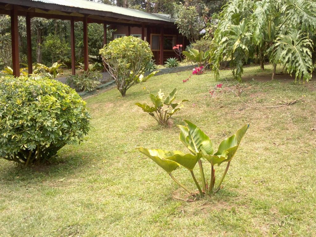 Hostel Villa Verde Monteverde Buitenkant foto
